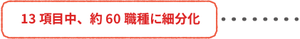 13項目中約60種類に細分化